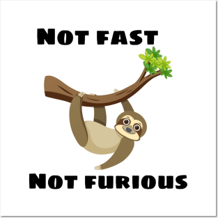 Not Fast Not Furious Posters and Art